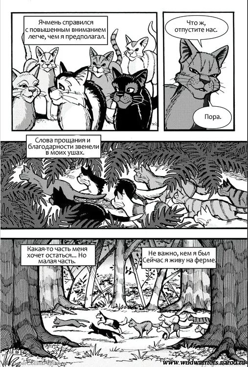 Сердце воителя читать. Коты воители все книги и манги по порядку. Коты воители манга сердце воителя. Коты воители манга. Коты воители манга крутобок и бич.