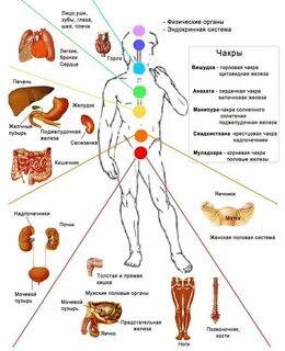 Для каждого человека система