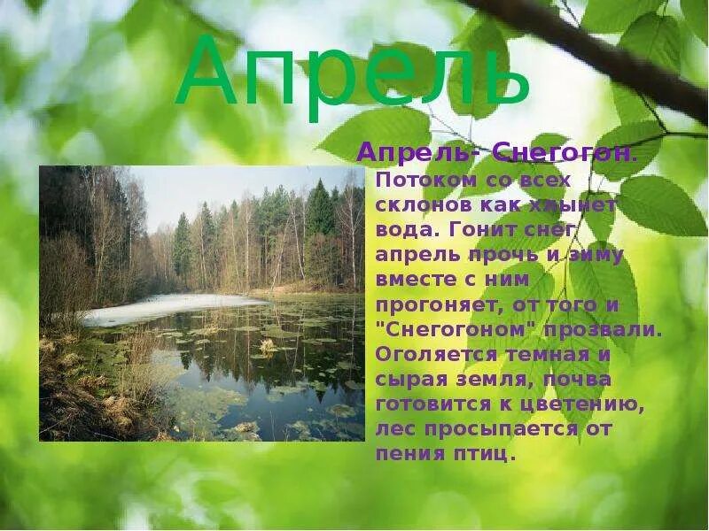 Ответ апрель. Апрель снегогон.