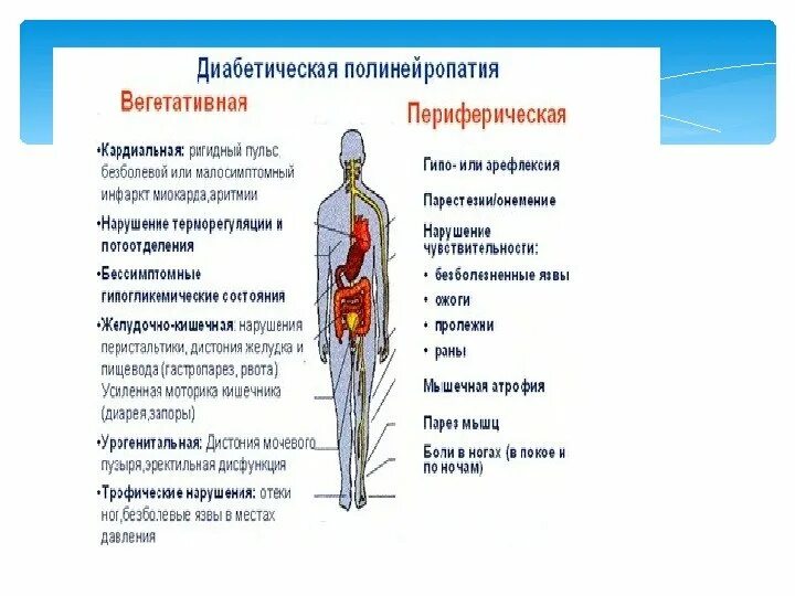 Полинейропатия причина болезни. Полинейропатия нижних конечностей и верхних конечностей. Клинические симптомы диабетической нейропатии. Диета при диабетической полинейропатии. Симптомы диабетической нейропатии конечностей.