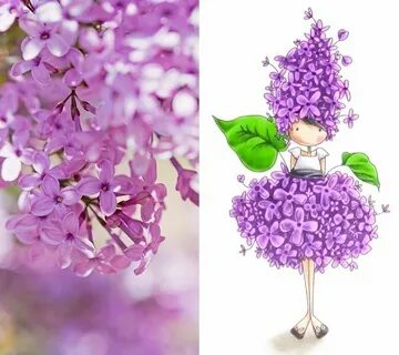 Сирень герои