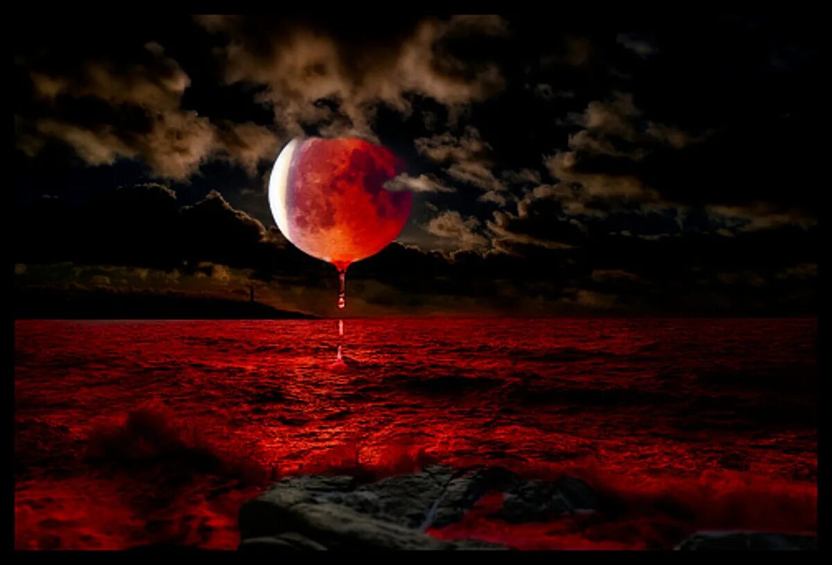 Кровавая Луна. Кровавая Луна над водой. Красная Кровавая Луна. Ночь кровавой Луны.