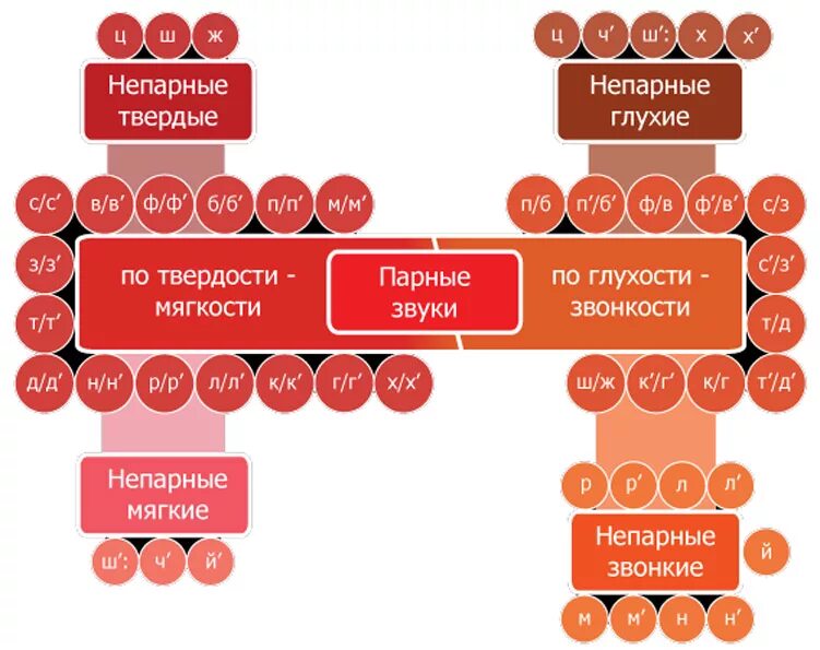 Звуки пар. Парные непарные по глухости-звонкости и твердости-мягкости. Согласные парные и непарные по твёрдости-мягкости глухости-звонкости. Парные непарные согласные по твердости и мягкости звонкости. Пары по глухости звонкости твердости мягкости.