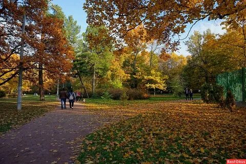Осень в сокольниках слушать