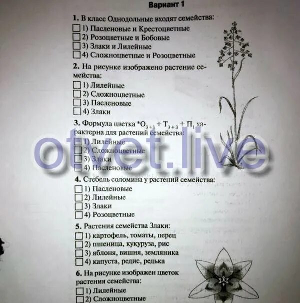 Контрольная работа по биологии 6 класс Однодольные и двудольные. Тесты по биологии 6 класс Однодольные и двудольные с ответами. Однодольные и двудольные растения 6 класс биология тест с ответами. Тесты классы растений.