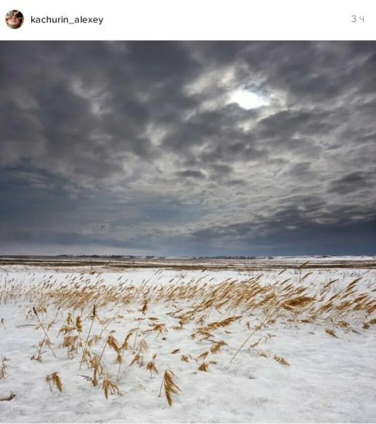 Поля под снегом и дождем. Поля под снегом и дождем. Ранняя зима. Поздняя осень в поле. Пасмурный зимний день.