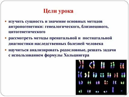 Метод антропогенетики изучающий кариотип называется