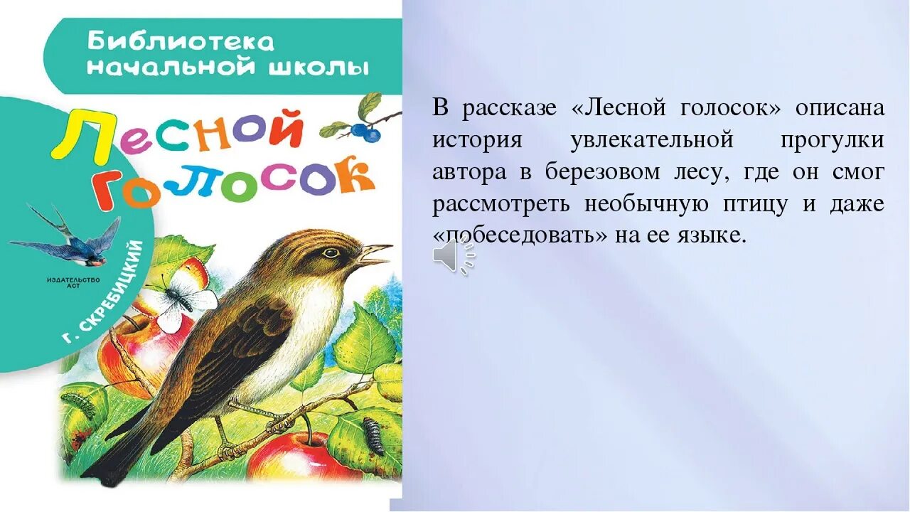 Рассказ Скребицкого Лесной голосок. Скребицкий сказки следопыта Лесной голосок. Кукушка читательский дневник