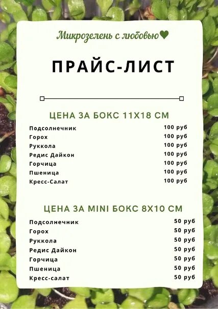 Таблица микрозелени. Прайс лист микрозелень. прайс лист для микрозелени. микрозелень таблица посадки. микрозелень листовка.