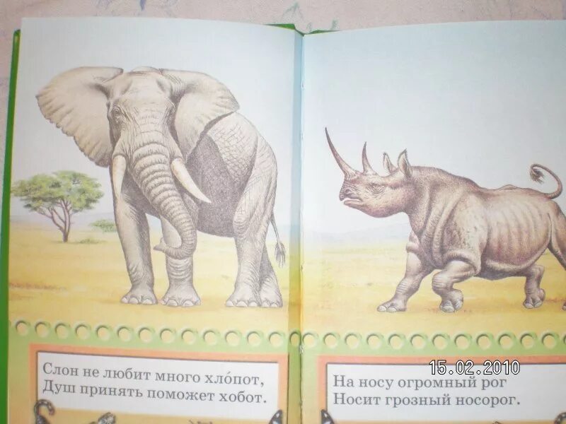 Сказка про доброго носорога. Книга про носорога. Книги про носорога для детей. Книга животный мир африки. Родственники носорога.