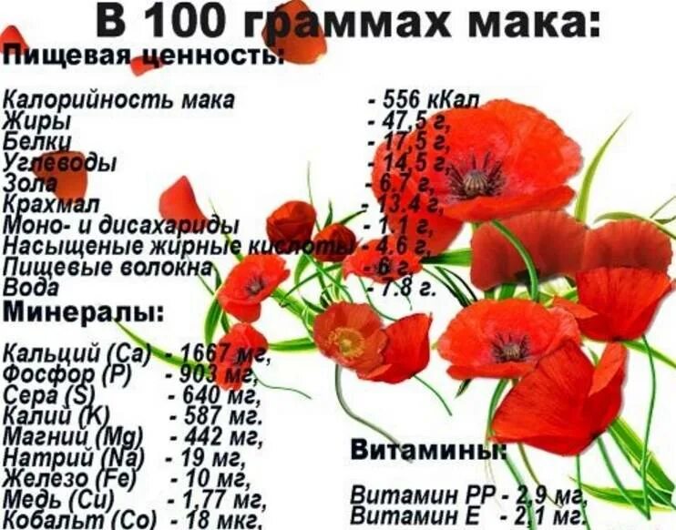 Можно ли есть мак. Чем полезен мак. мак семена полезные свойства. маковые семена состав. мак витамины и микроэлементы.