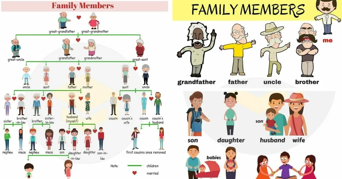 Английский язык Family members. Семья на английском. Family Vocabulary английский. Family members для детей. Our family are big