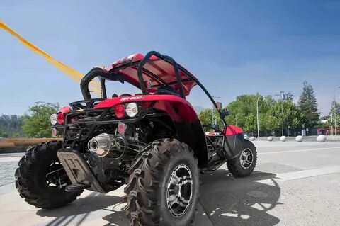 Buggie1299