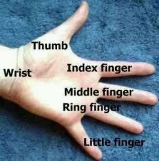 Hand name