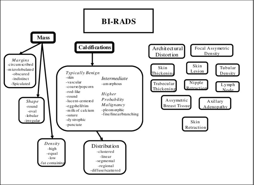 Классификация bi-rads молочных желез. Классификация bi rads. Bi rads 2. Birads классификация.