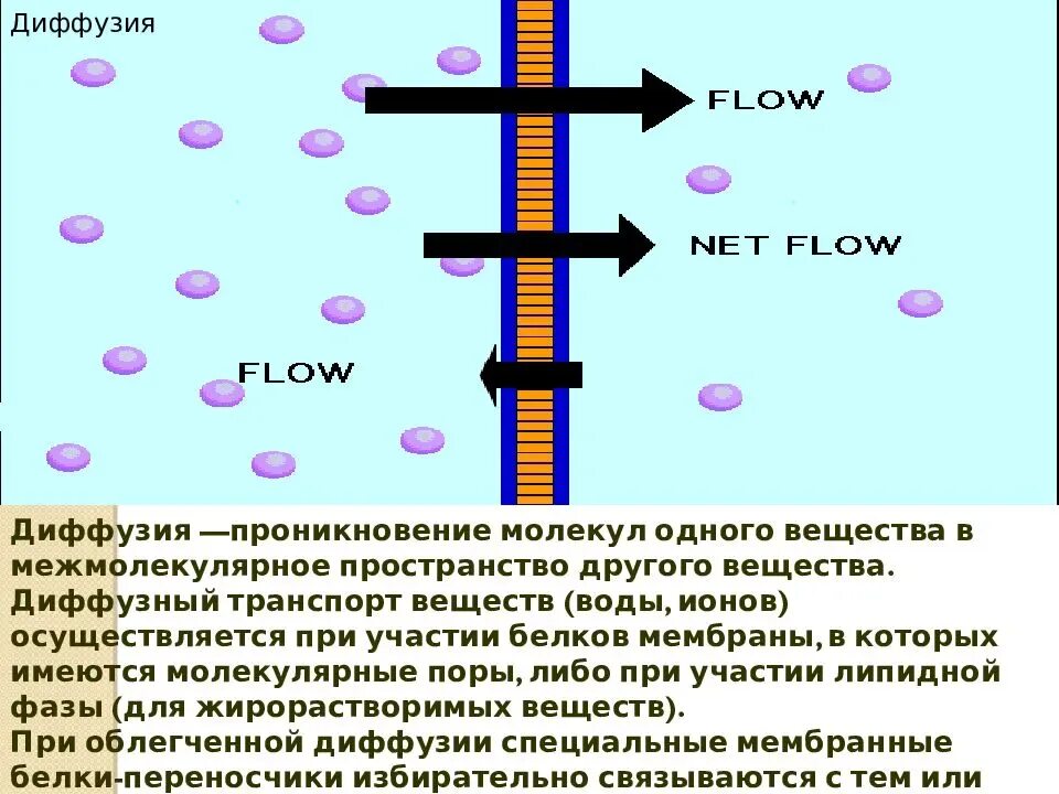 Диффузная мембрана. Проницаемость мембраны. Проницаемость ионов через мембрану. Механизм изменения проницаемости мембраны. Проницаемость биологических мембран.