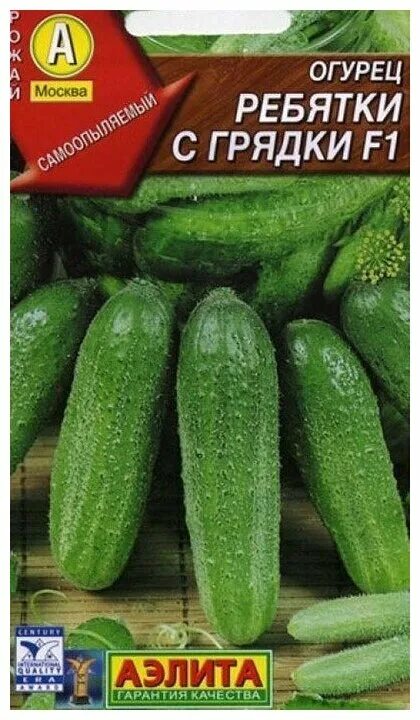 Огурцы сорт я ребятки с грядки. Редис рубин 3гр/20. Ребятки с грядки. Огурец ребятки с грядки f1. А/огурец ребятки с грядки f1 10шт.