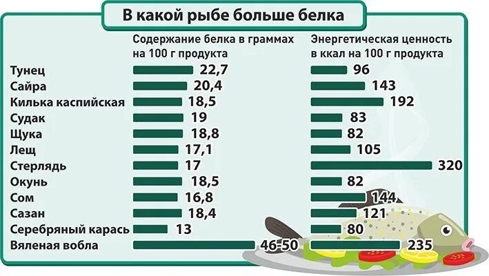 Белок в рыбе таблица. Содержание белка в рыбе на 100 грамм. Рыба с высоким содержанием белка. Рыба с наибольшим содержанием белка. Белковая рыба