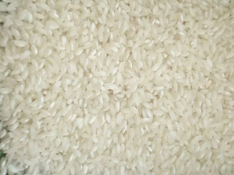 Различие риса. Рис Осман Камолино. Круглозерный рис сорта. Сорт риса Фаворит. Рис регул премиум.
