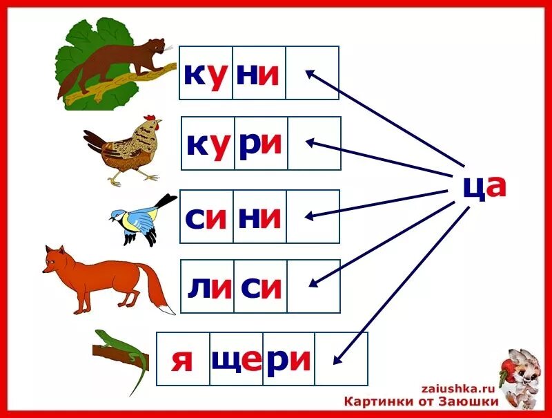 Слоги картинка для дошкольников. Чтение слогов с буквой ц. Чтение с буквой ц для дошкольников. Карточки слоги. Читаем слоги с буквой ц.