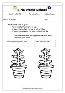 Science grade 1