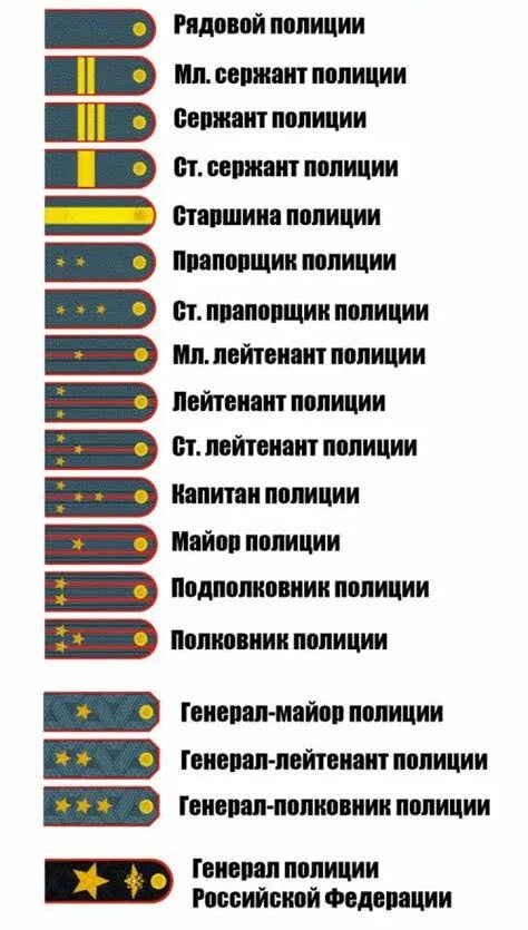 Какие звезды на погонах мвд. МВД звания по порядку и погоны в России. Звёзды на погонах звания полиции МВД России. Звания МВД по погонам в полиции России. Звания в полиции России по возрастанию с погонами 2021.