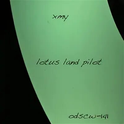 Pilot land