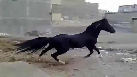 3 тыс видео найти