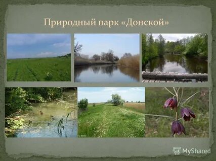 Статус природный парк