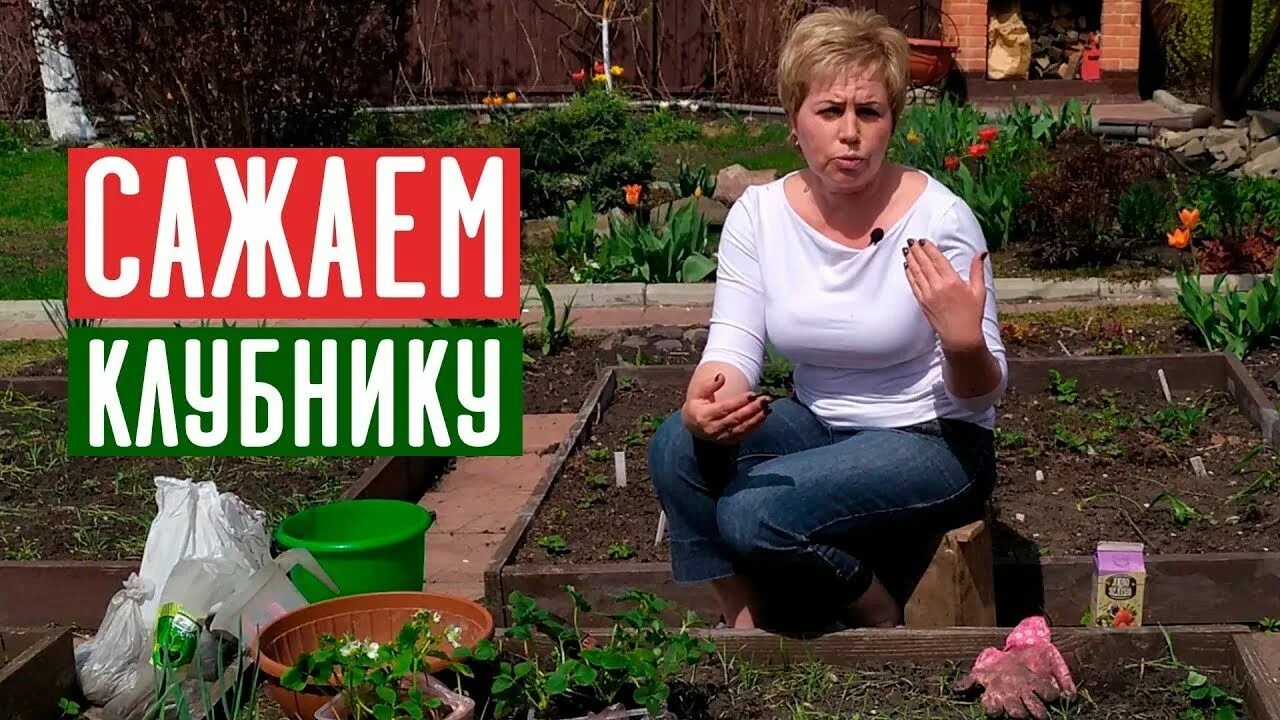 Садовый мир с ларисой зарубиной. Садовый гид с ларисой зарубиной. Садовый гид с ларисой зарубиной. Садовый гид с ларисой зарубиной. Канал ларисы зарубиной садовые.