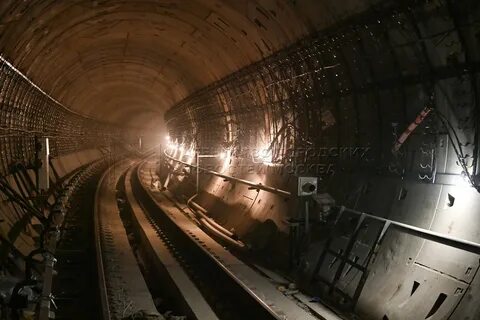 Дмитровская сегодня