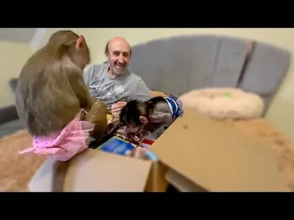 Ютуб гамадрил люська и компания