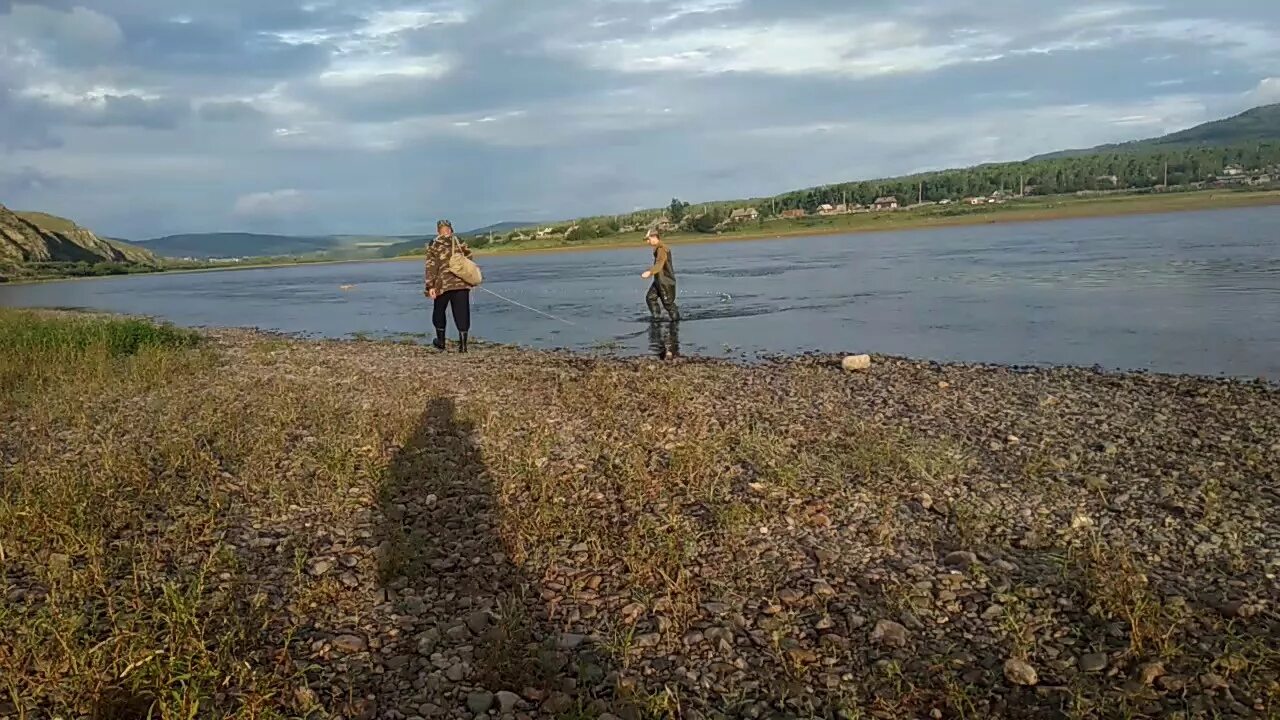 Рыбалка сетью на реке. Рыбалка Сплавной сетью с берега. Рыбалка Сплавной сетью на реке. Небольшая Сплавная сеть. Сеть для сплава по реке.