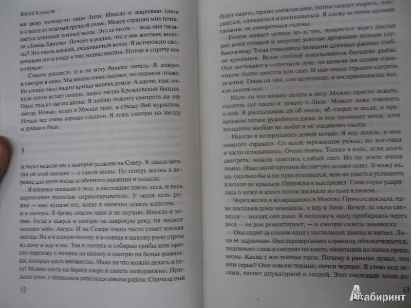 Во сне ты горько плакал читать. Во сне ты горько плакал... Книга. Во сне ты горько плакал Казаков иллюстрации. Во сне ты горько плакал алёша.