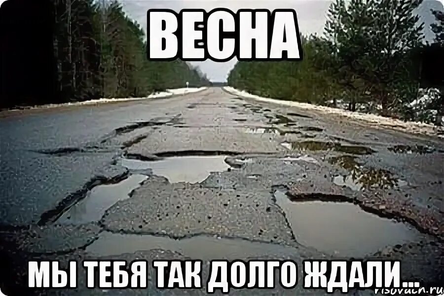 Почему все так долго. Мемы про весну. мы тебя так долго ждали. дорога мем. жду весну мем.