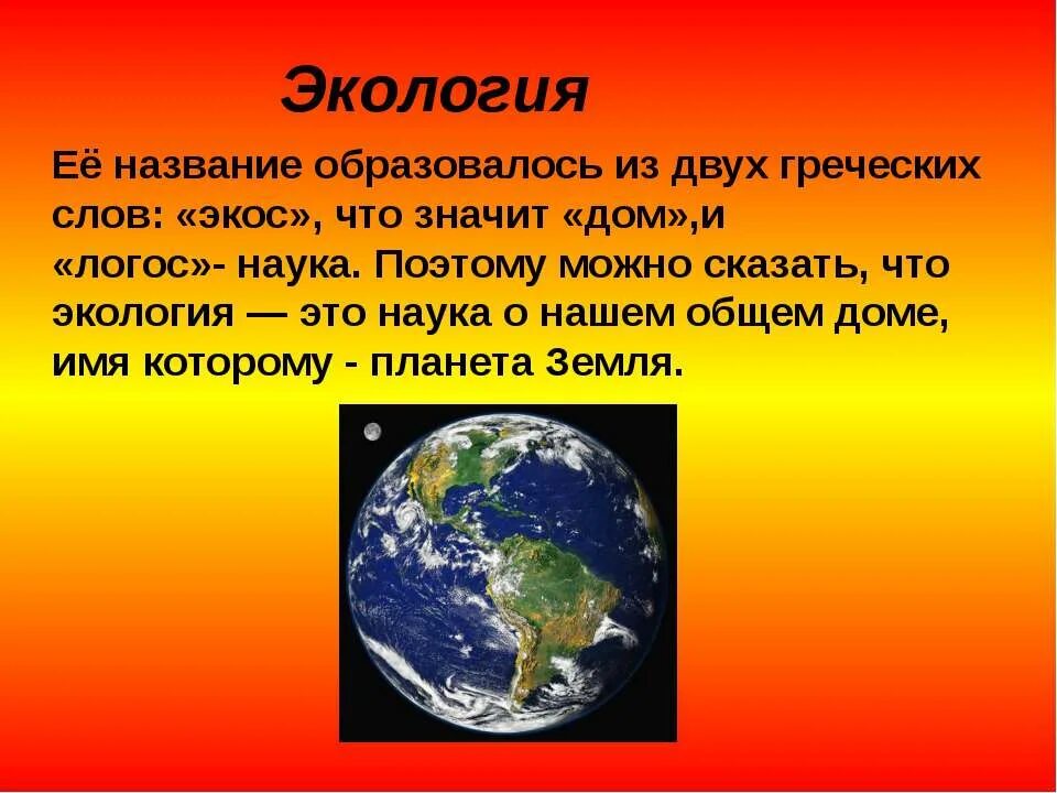 Рассказ про экологию. Текст про экологию. Что такое экология 4 класс. Небольшой текст на тему экология.