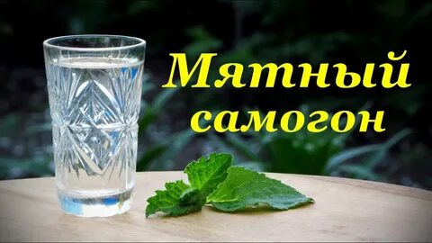 Настой самогона на мяте
