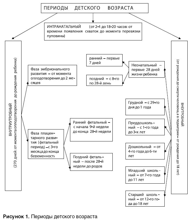 Периоды развития ребенка педиатрия. Периоды детства и их характеристика педиатрии. Периоды детского возраста педиатрия лекция. Периоды новорожденности в педиатрии таблица.