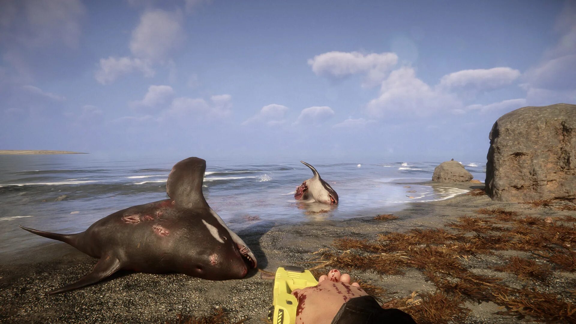 Sons of the forest системные. Sons of the forest системные требования. Sons of the forest дата. Игра форест 2. Sons of the forest системные.