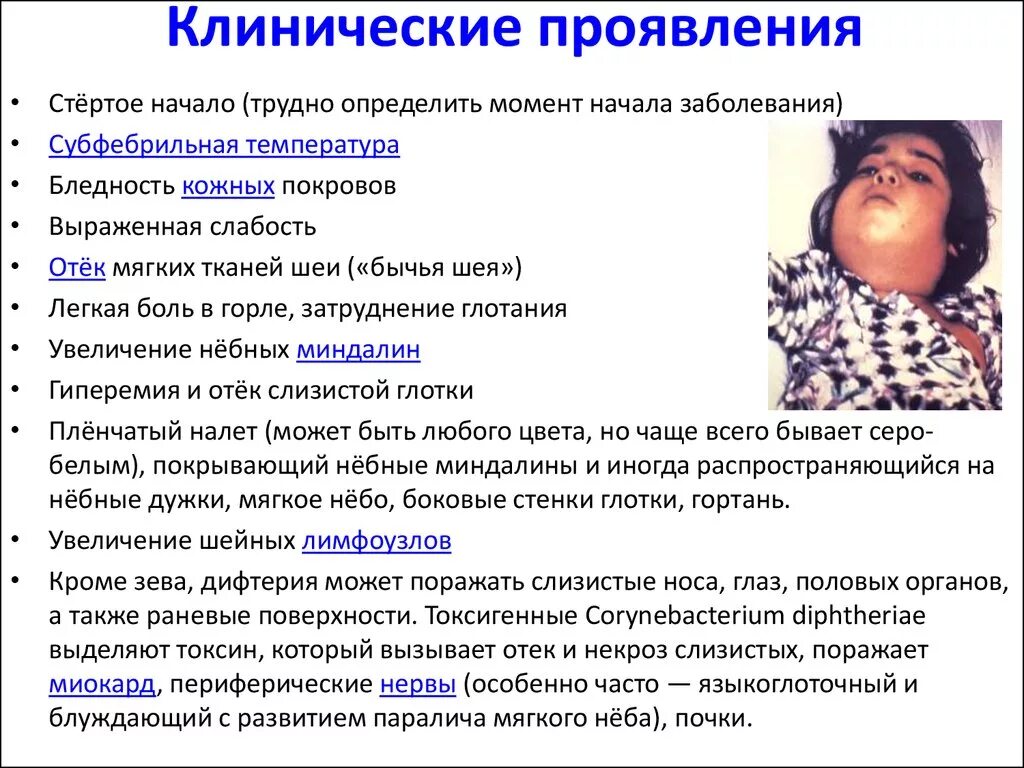 Дифтерия Записи студента Дзен
