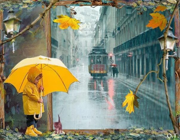 Дождливый день. Осень дождь. Дождливое утро осени. Осень с дождичком.