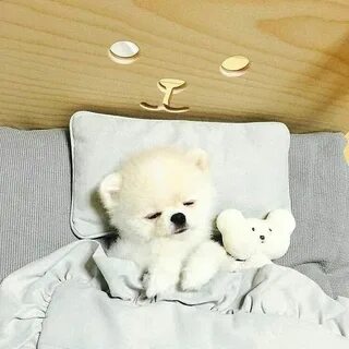 Мини сон