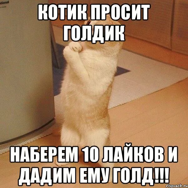 Она такая классная