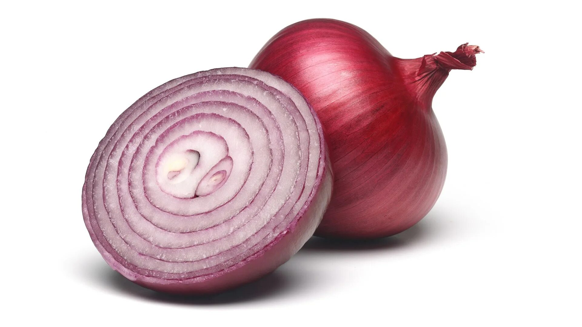 Mixed onion. Лук репчатый. Лук красный. Фиолетовый лук. Синий лук.