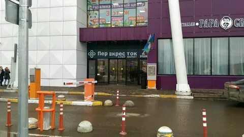 Внииссок кленовая 1