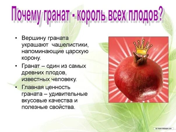 Как правильно разобрать гранат фрукт Pin on Садоводство