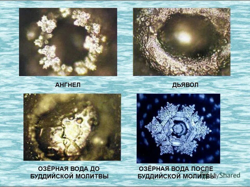 Вода после молитвы. Кристаллы воды под микроскопом. Структура воды под микроскопом после молитвы. Структура воды после молитвы.