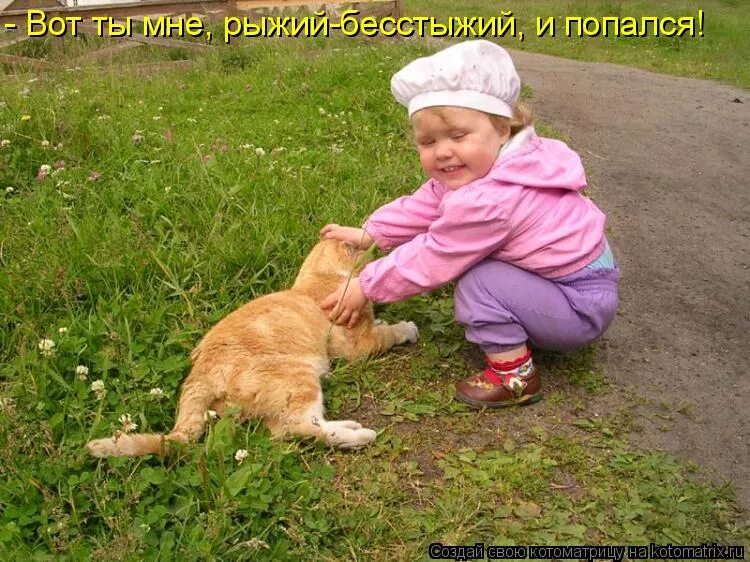 кот с винтовкой. рыжие люди с рыжим котом. тигровый макрелевый табби рыжий. рыжий попался. целеустремленный котик.