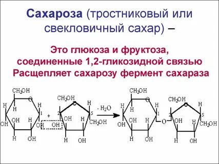 Сахароза хим