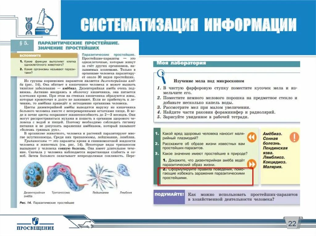 Паразитические простейшие значение простейших. Простейшие паразиты в хозяйственной деятельности человека. Значение паразитов простейших в жизни человека. Паразитические простейшие таблица. Прост в использовании имеет